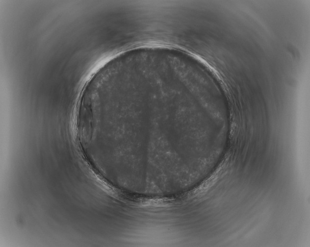 X0000112931367200909211105