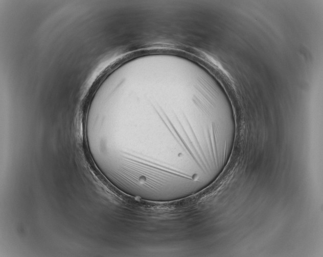 X0000112931368200909211105