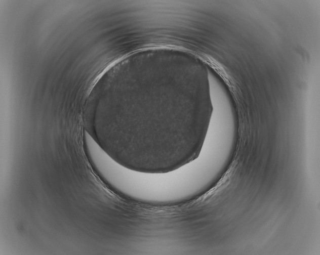 X0000112931369200909211105