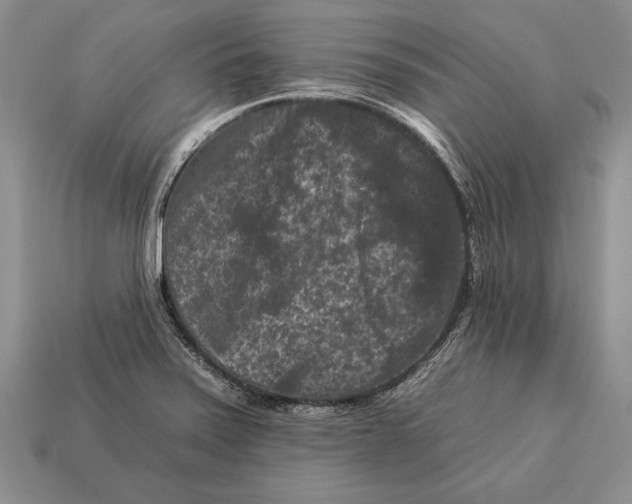 X0000112931371200909211105