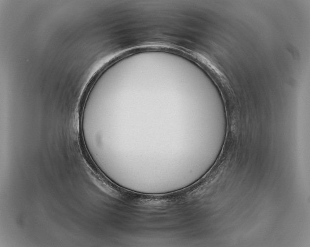 X0000112931372200909211105