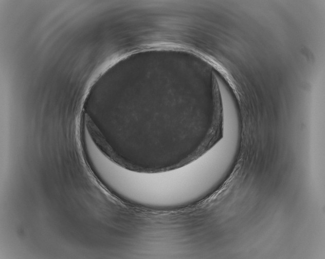 X0000112931373200909211105