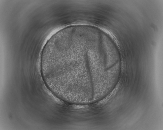 X0000112931374200909211105