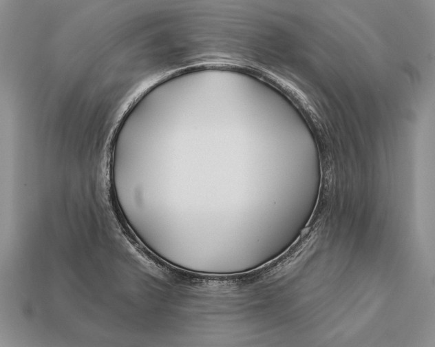 X0000112931375200909211105