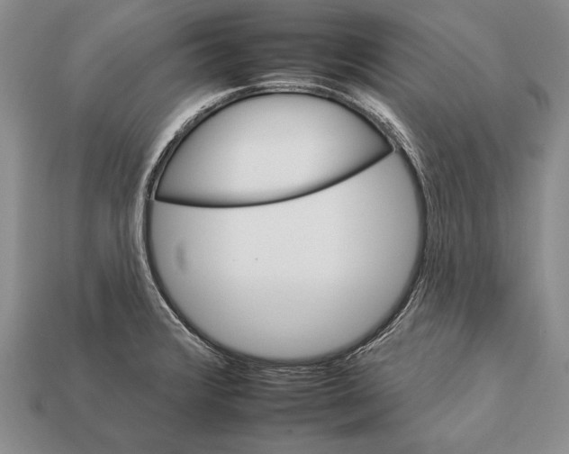 X0000112931376200909211105