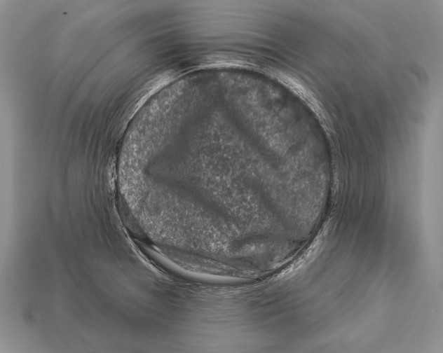X0000112931377200909211105
