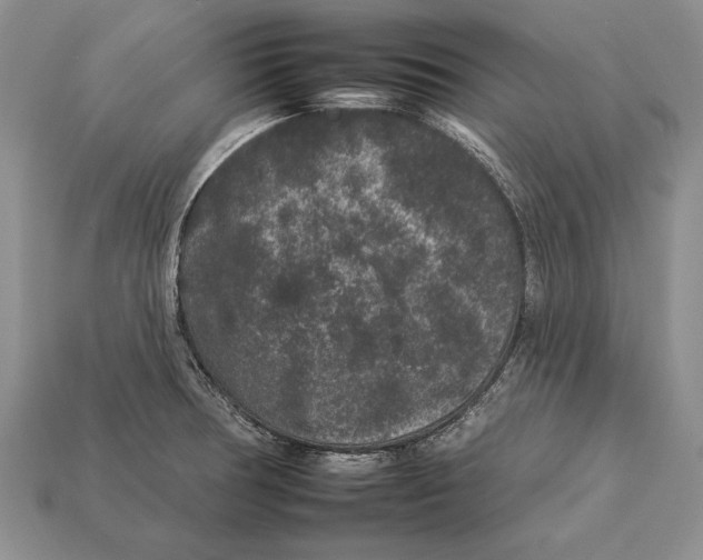 X0000112931378200909211105