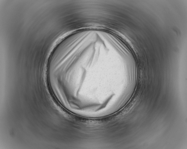 X0000112931379200909211105