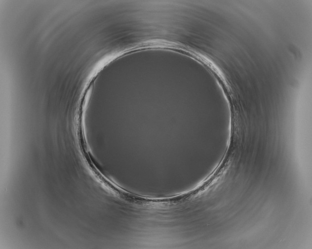 X0000112931381200909211105