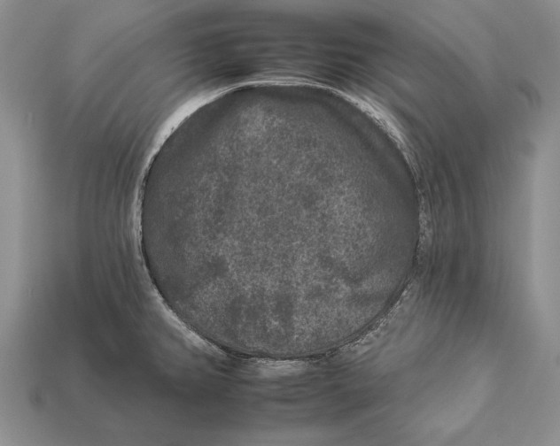 X0000112931382200909211105