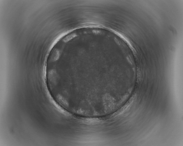 X0000112931383200909211105