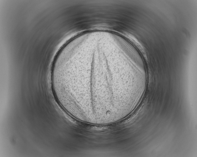 X0000112931384200909211105