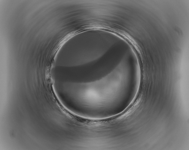 X0000112931385200909211105