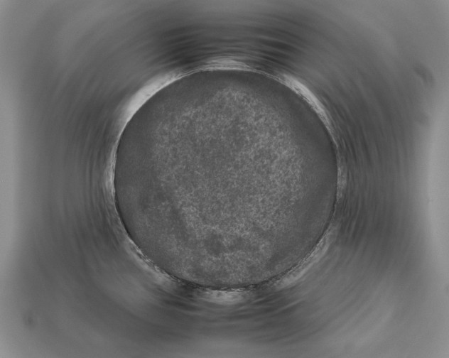X0000112931386200909211105