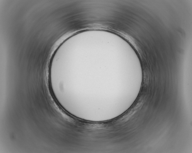 X0000112931387200909211105