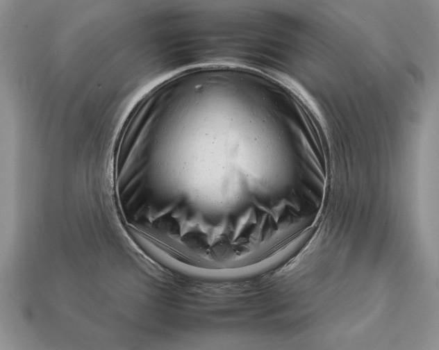 X0000112931388200909211105
