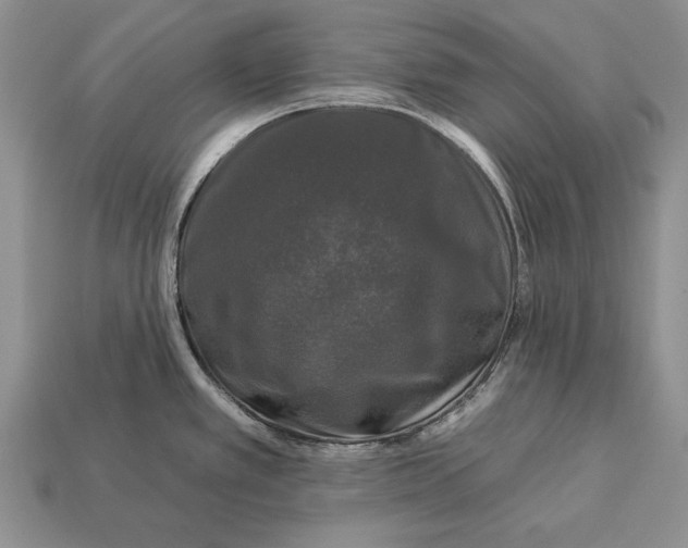 X0000112931389200909211105