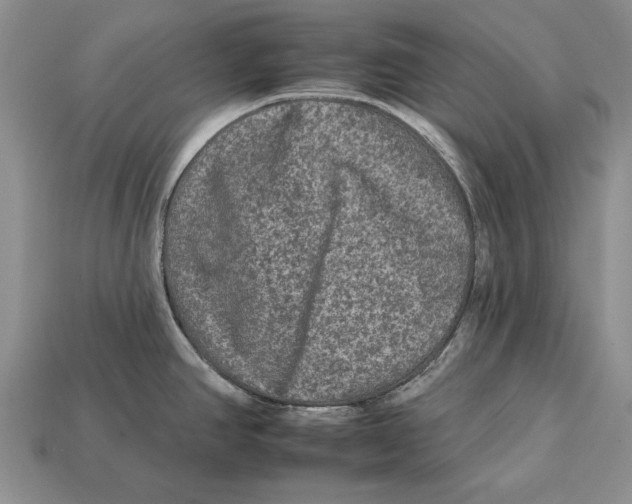 X0000112931390200909211105