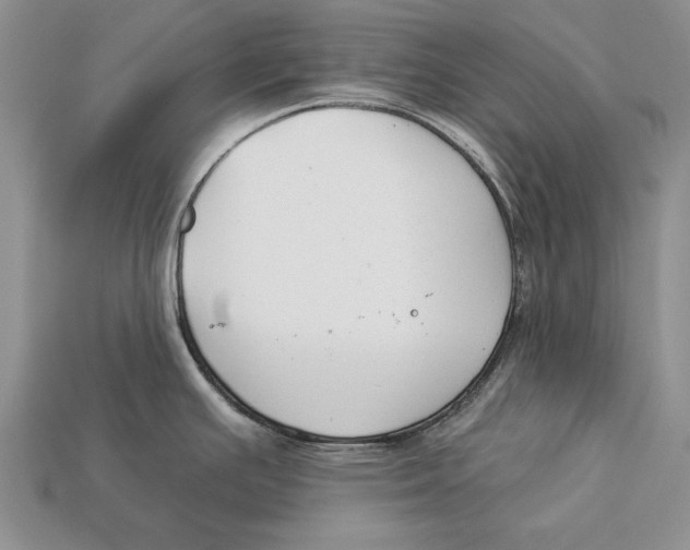 X0000112931391200909211105