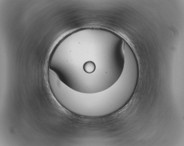 X0000112931392200909211105