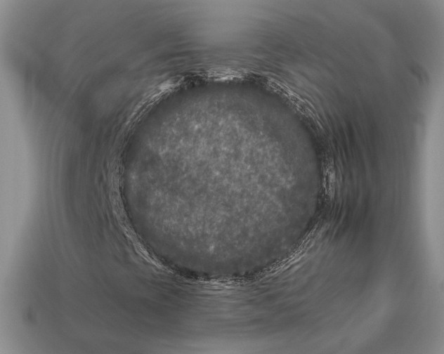 X0000112931393200909211104