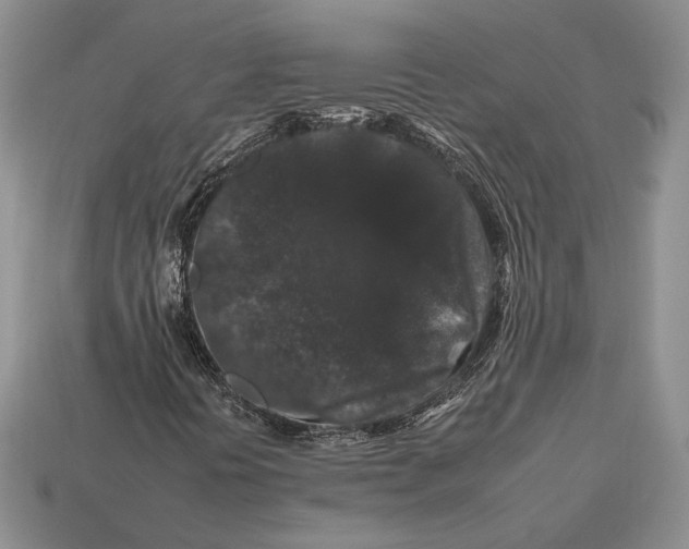X0000112931394200909211104