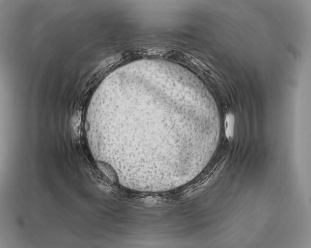 X0000112931395200909211104