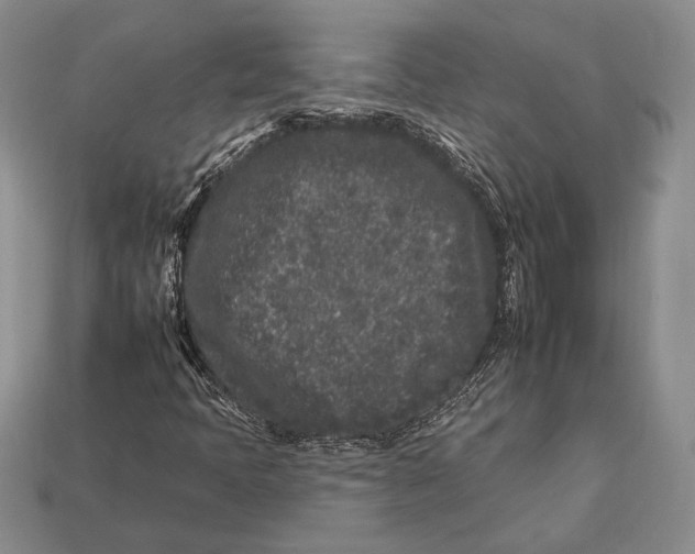 X0000112931397200909211104
