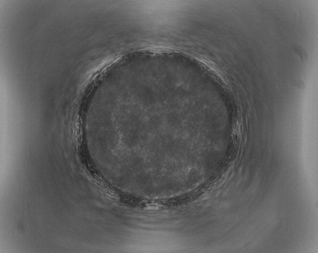 X0000112931398200909211104