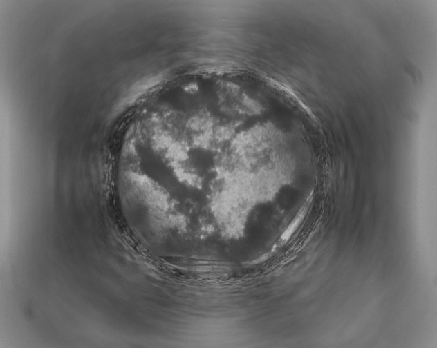 X0000112931399200909211104