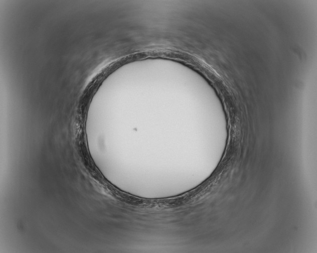 X0000112931400200909211104