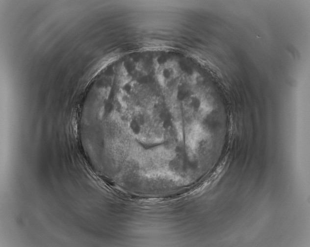 X0000112931401200909211104