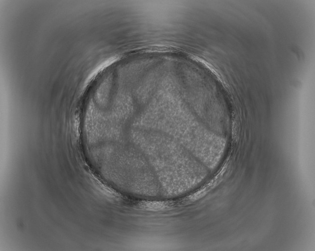X0000112931402200909211104