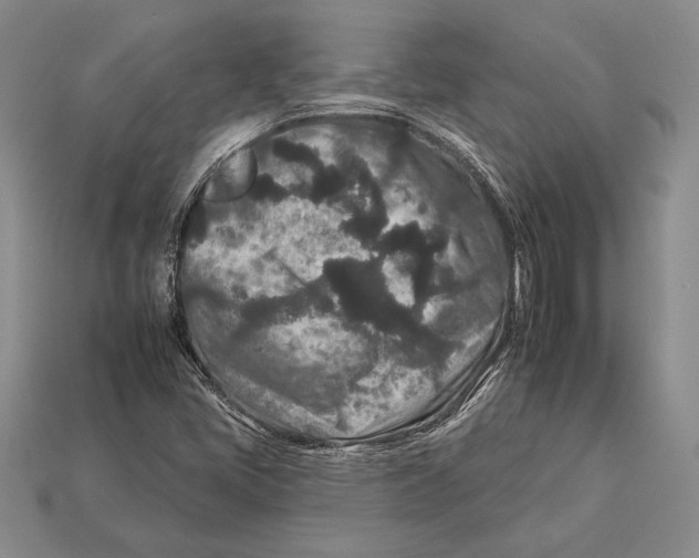 X0000112931405200909211104