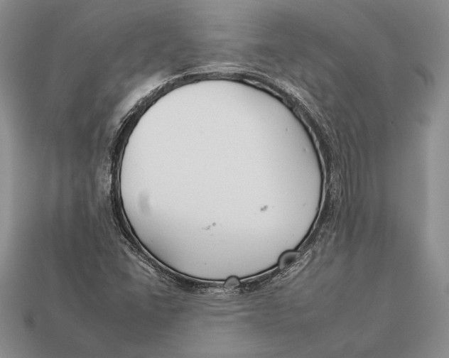 X0000112931406200909211104