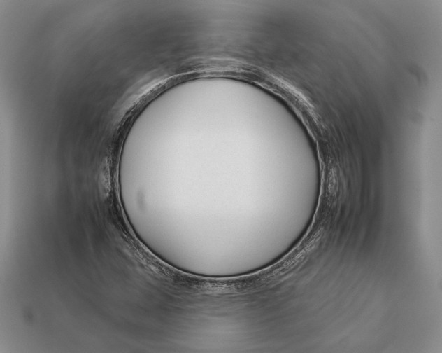 X0000112931407200909211104