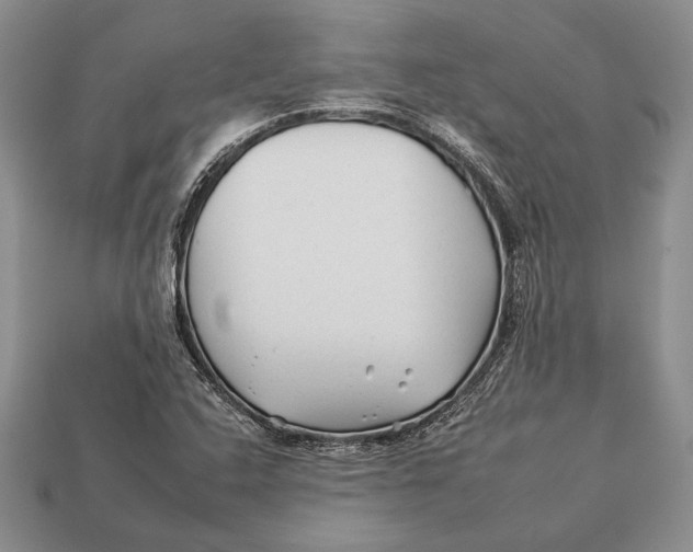 X0000112931408200909211104