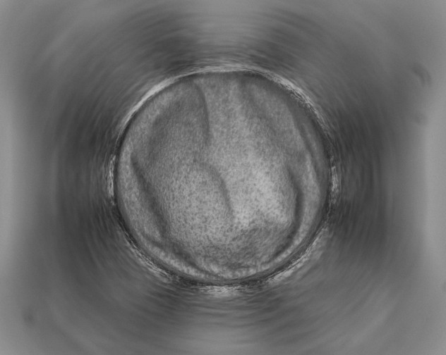 X0000112931409200909211104