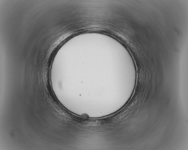 X0000112931410200909211104