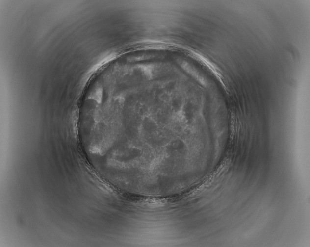 X0000112931411200909211104