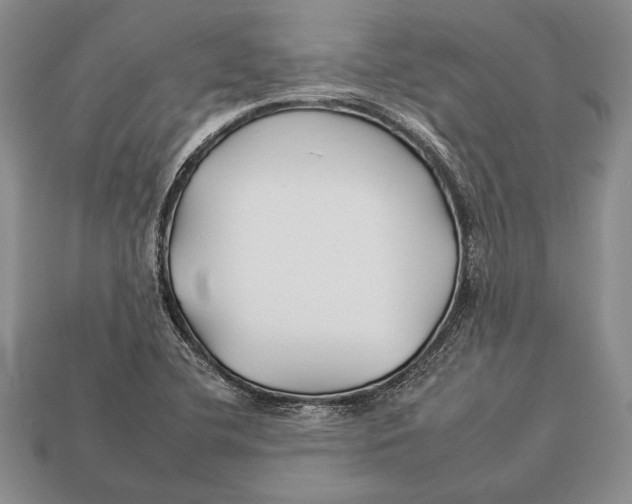 X0000112931412200909211104