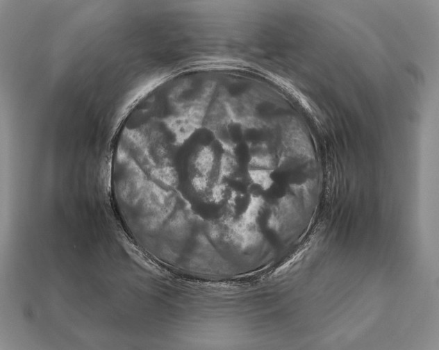 X0000112931413200909211104
