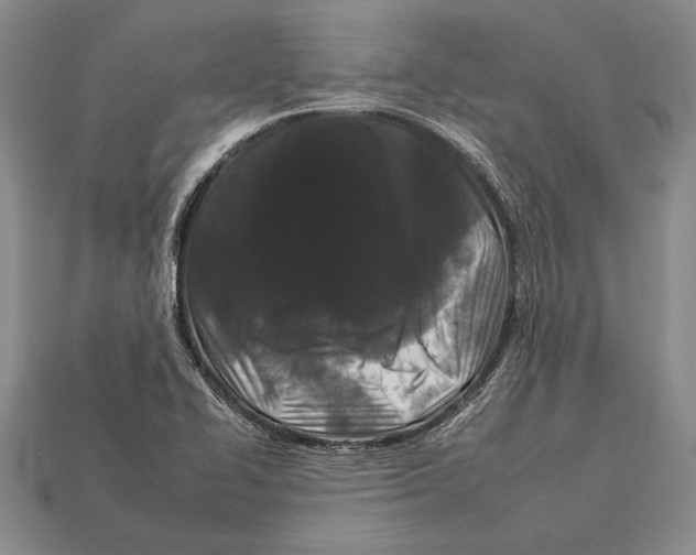 X0000112931414200909211104