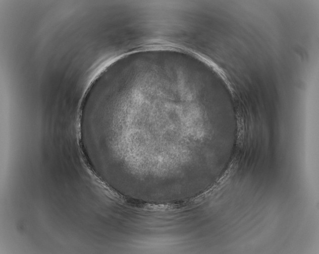 X0000112931415200909211104