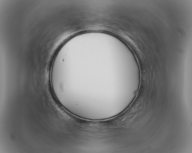 X0000112931416200909211104