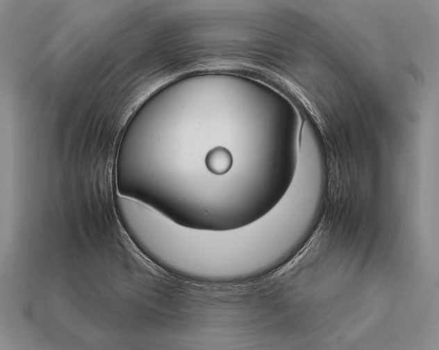 X0000112931417200909211104