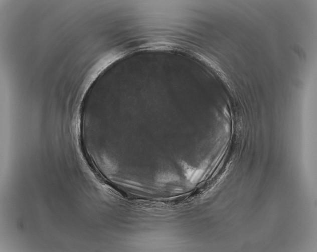 X0000112931418200909211104
