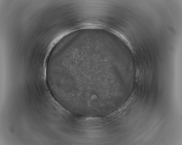 X0000112931419200909211104