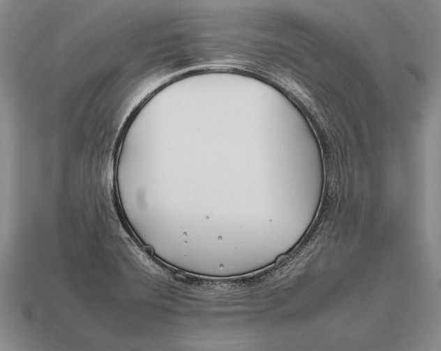 X0000112931420200909211104