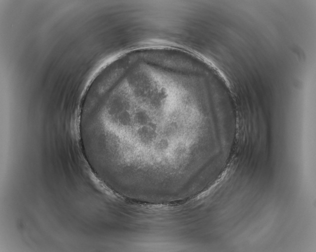 X0000112931421200909211104